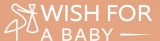 Wish for a baby 2026