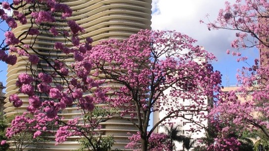 Agencias de Azafatas a Belo Horizonte